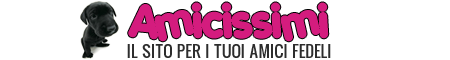 Amicissimi